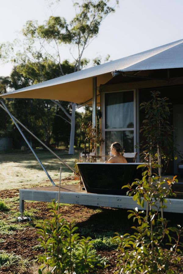 Canvs By Cabn Seppeltsfield Barossa Exterior foto