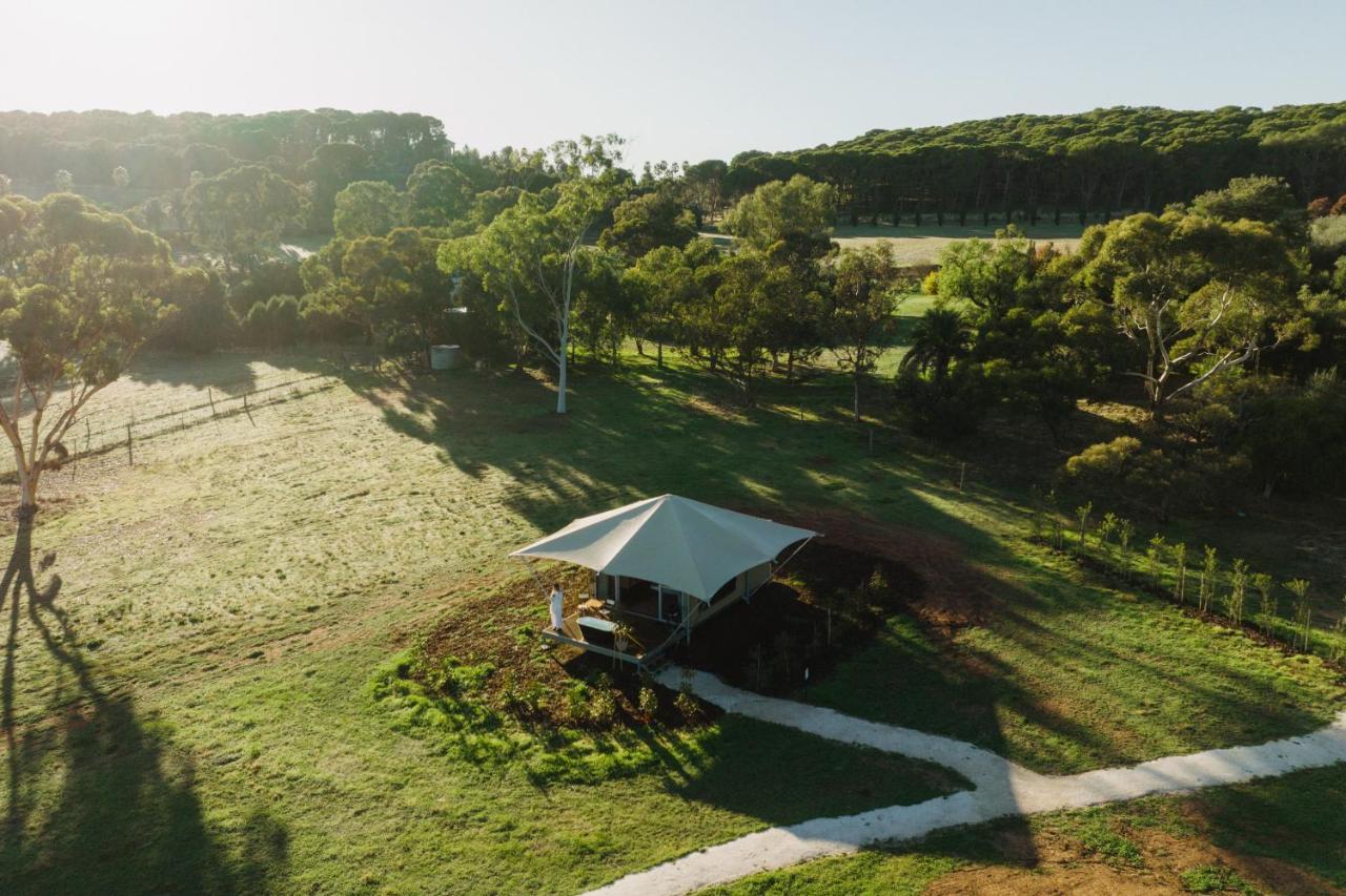 Canvs By Cabn Seppeltsfield Barossa Exterior foto