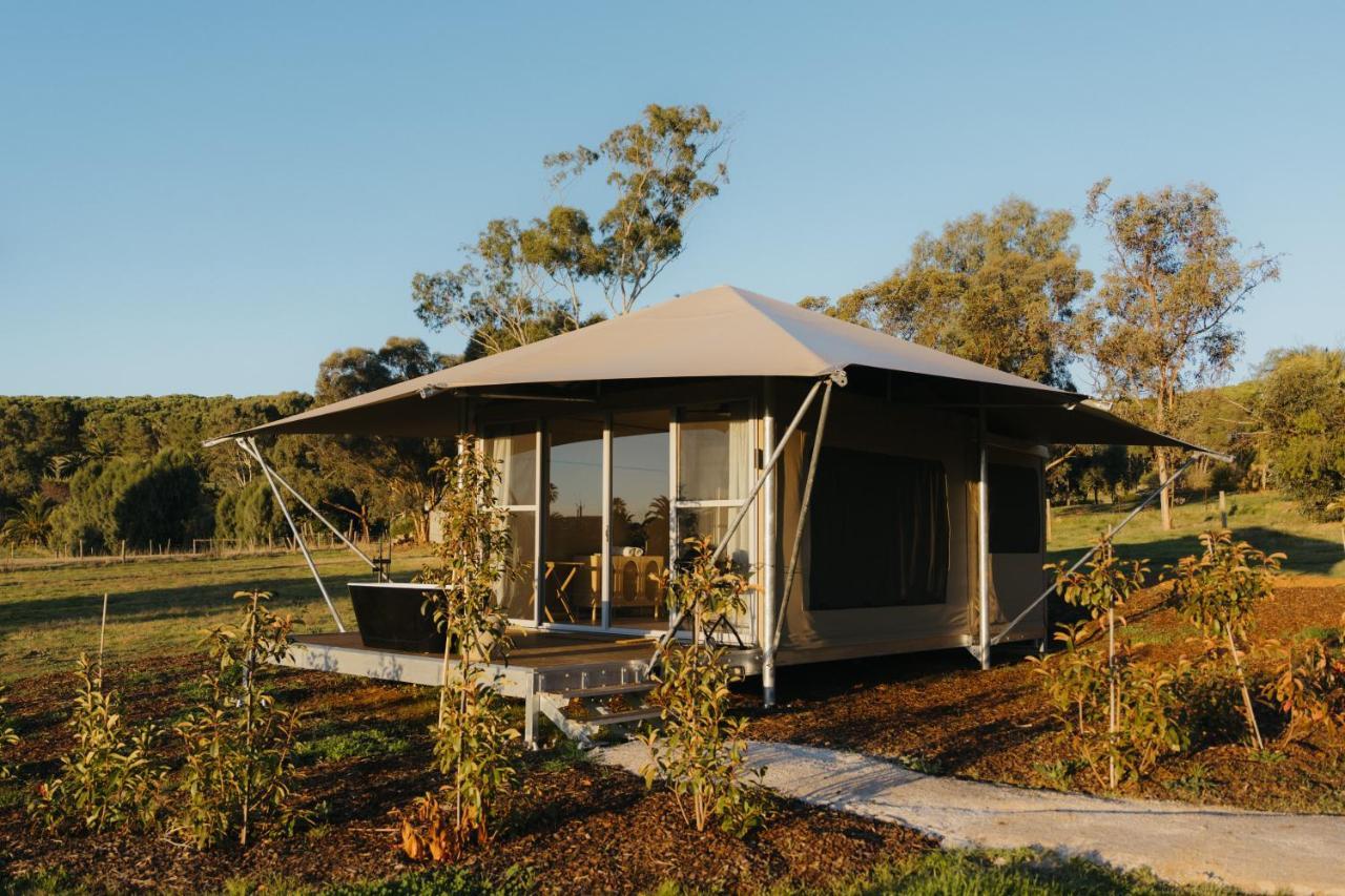 Canvs By Cabn Seppeltsfield Barossa Exterior foto