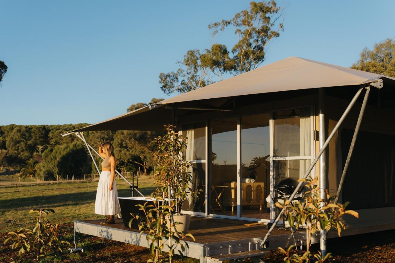 Canvs By Cabn Seppeltsfield Barossa Exterior foto