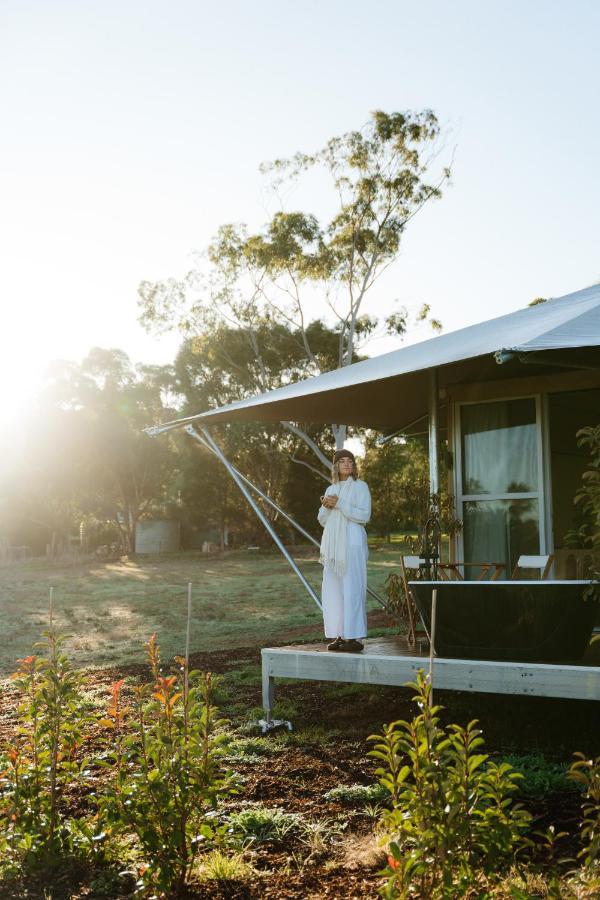 Canvs By Cabn Seppeltsfield Barossa Exterior foto