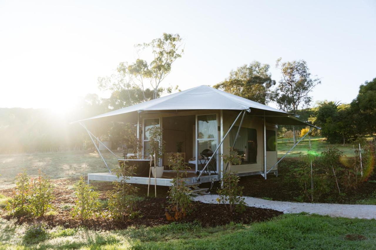 Canvs By Cabn Seppeltsfield Barossa Exterior foto